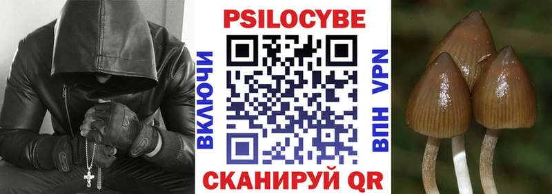 KRAKEN   Ульяновск  Галлюциногенные грибы мицелий  дарнет шоп 