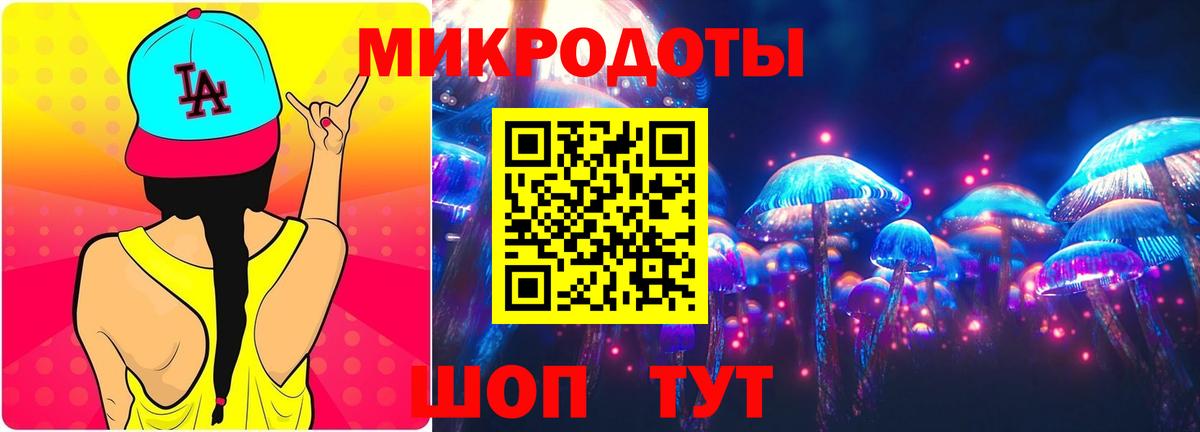 Псилоцибиновые грибы Psilocybine cubensis Ульяновск